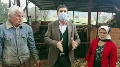 hayvan haklari -  Esen Ailesi yılın son günü dehşeti yaşadı... 63 koyun telef oldu Videosu