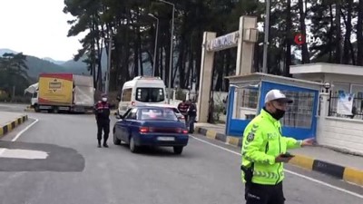 dedektor kopek -  Marmaris'te yeni yıl öncesi trafik yoğunluğu Videosu