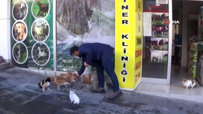 yabani hayvanlar -  Açtığı klinikle sokak hayvanları ve yabani hayvanlara ücretsiz bakıyor Videosu