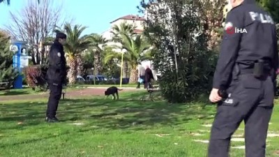 biber gazi -  Pitbullu kavgayı polis biber gazıyla ayırmaya çalıştı Videosu