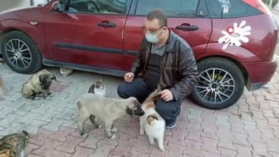 yavru kedi -  Sokak hayvanları için harekete geçti, mahalle sakinleri onu yalnız bırakmadı Videosu