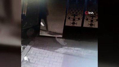 bisiklet -  Ağrı'da hırsızlar güvenlik kameralarına yakalandı Videosu