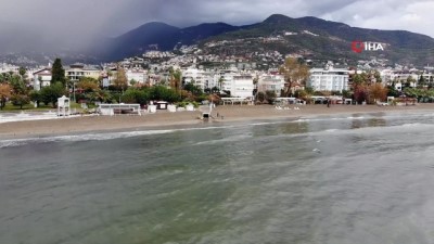 yunuslar -  Denize inen Pelikanları görenler cep telefonuna sarıldı Videosu