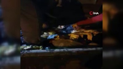 kopek -  Iğdır'da çuval içinde çöpe atılan kedi son anda fark edildi Videosu