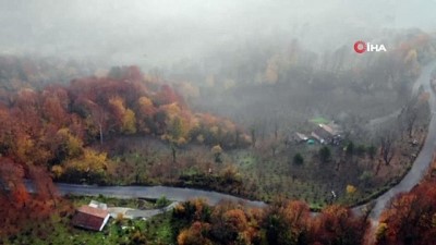 sonbahar -  - Zonguldak'ta sis manzaralı sabah güneşi Videosu