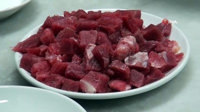 milli takim -  'Genç şef' hayallerinden vazgeçmedi, başardı  Videosu