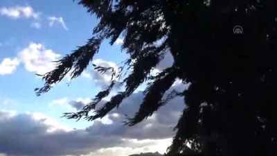 siddetli ruzgar - Bodrum'da şiddetli rüzgar hayatı olumsuz etkiliyor - MUĞLA Videosu