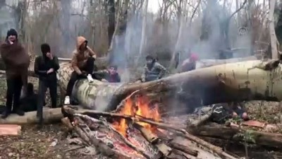 Düzensiz göçmenler ormanlık arazide ateş yakarak ısınmaya çalışıyor - EDİRNE
