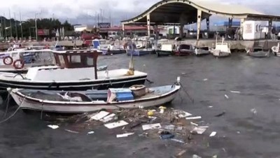 belediye baskanligi - Fırtına balıkçı teknelerini batırdı - BALIKESİR Videosu