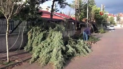  Bolu’da, etkili olan fırtına nedeniyle direkler ve ağaçlar devrildi
