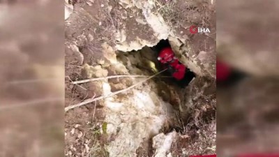sili -  Mahsur kaldığı mağaradan kurtarılan keçi emzirmek için yavrusuna koştu Videosu