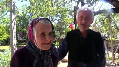 mutlu evlilik - Badem ağaçlarıyla büyüyen 'sevgi'nin hikayesi - MUĞLA Videosu