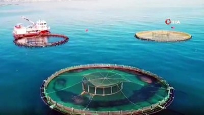 2 milyon dolar -  Gürdoğan: Doğu Karadeniz'den su ürünleri ihracatındaki artışı karşılamak için yeni yatırımlar yapmak gerekiyor' Videosu