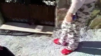 demir korkuluk - Muğla'da başı demir korkuluklara sıkışan köpek yavrusu kurtarıldı Videosu