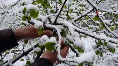 kazma kurek -  Ata sözü gerçek oldu, mart karı şaşırttı Videosu