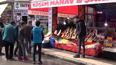 dev turna baligi -  Elazığ'da son yılların en büyük turnası yakalandı: 2 metre, 138 kilo Videosu