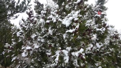  Sivas'ta Mart ayında kar sürprizi