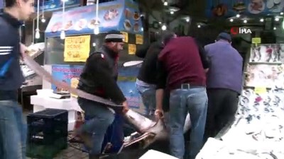 kopek baligi -  200 kilogramlık köpek balığı ile fotoğraf yarışı Videosu