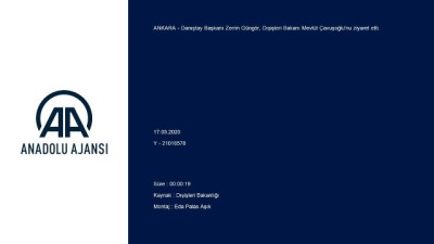 Danıştay Başkanı Güngör, Dışişleri Bakanı Çavuşoğlu'nu ziyaret etti - ANKARA