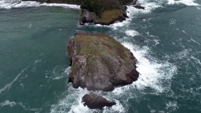 deniz seviyesi - 'Sakin şehir' Perşembe'deki Hoynat Adası turizme kazandırılıyor - ORDU Videosu