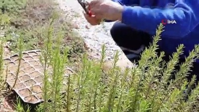  Okulların yerel tohumu Muğla Büyükşehir Belediyesi'nden