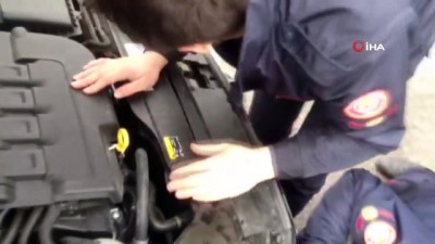 yavru kedi -  Otomobilin motor bölümüne giren yavru kediyi itfaiye kurtardı Videosu