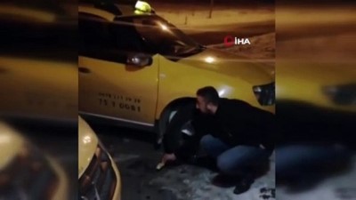  Aç kalan tilkiyi elleriyle besledi