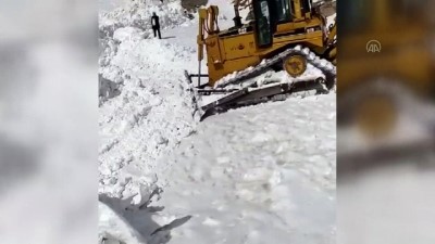 Çığ nedeniyle kapanan yol açıldı - VAN