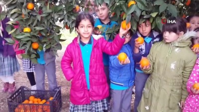 gonul koprusu -  Portakalla kurulan kardeşlik köprüsü Şırnak’a ulaştı Videosu