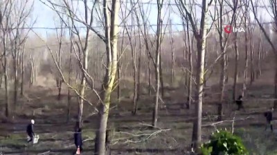 Yunan askerlerinin açtığı ateşte 2 basın mensubu yaralandı