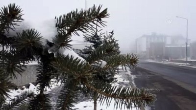 karayollari - Kars'ta sis kara ve hava ulaşımını olumsuz etkiledi Videosu