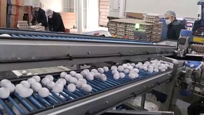 son kullanma tarihi - Türkiye'den Körfez ülkelerine ayda 4 milyon dolarlık yumurta ihracatı - BALIKESİR Videosu