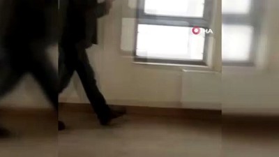 mobilya -  Yüksekova’da Hint balıkçıl kuşu bulundu Videosu