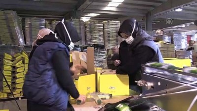 karaborsa - Kolonya üreticisinden 'fırsatçılara göz açtırmayın' uyarısı - DÜZCE Videosu