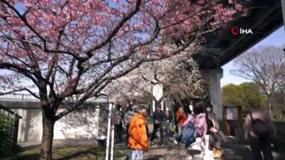  - Japonya’da 'sakura' coşkusuna korona virüsü engeli
- Kiraz çiçeği mevsiminde parklar boş kaldı