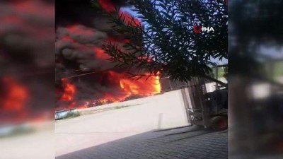 salar -  Narenciye paketleme tesisinde yangın Videosu