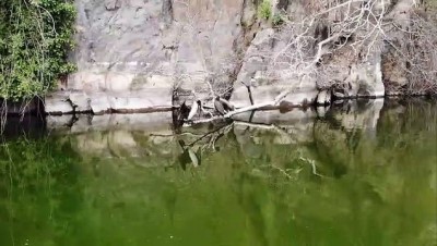 yesil doga - Sönmüş lavların arasındaki antik güzellik: Adala Kanyonu - MANİSA Videosu