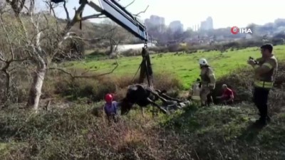 kurtarma operasyonu -  Çamura saplanan ineğe kurtarma operasyonu Videosu