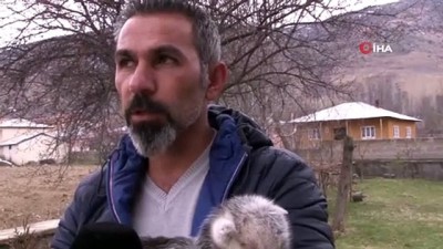 keci yavrusu -  Annesini ayı yiyen keçi yavrusunu gazeteci kurtardı Videosu