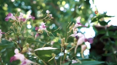 belgesel -  Çorlu’nun köyleri belgesel oluyor Videosu