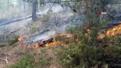  Balıkesir'de orman yangını