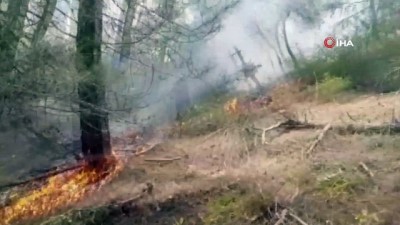  Balıkesir'de orman yangını