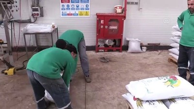 pamuk tarlasi - Şanlıurfa'da üretilen organik gübre yurt dışına satılıyor Videosu