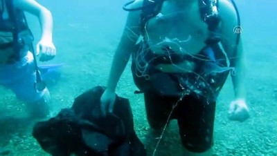 denizanasi - Antalya'da Akdeniz ekosisteminde nadir görülen denizanası görüntülendi Videosu