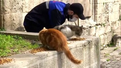hassasiyet - Belediyeler sokak hayvanlarına sahip çıkıyor - İSTANBUL Videosu