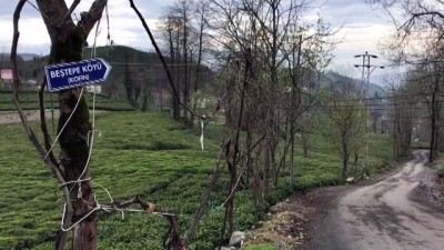 semptom - Rize'de Kendirli beldesi ile 4 köy karantina altına alındı Videosu