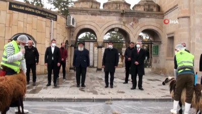 kurban kesimi -  Erzincan’da korona virüs salgınının bitmesi için kurbanlar kesildi, dualar edildi Videosu