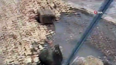 felaket -  Gaziantep'te sağanak yağmur sonrası yol ve tarlalar sular altında kaldı Videosu