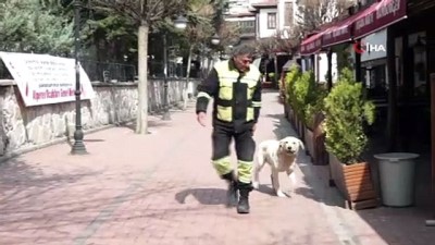  Sokak hayvanları unutulmuyor