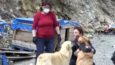 14 gönüllüden engelli ve hasta köpeklere şefkat eli - ARTVİN